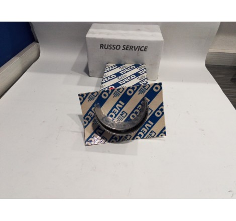SEMICUSCINETTO DI BIELLA STD.