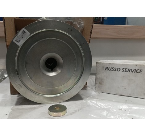 Frizione Thermoking 1070364